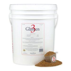 Glänzen 3 (HorseTech)