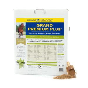 Grand Premium Plus (Grand Meadows)