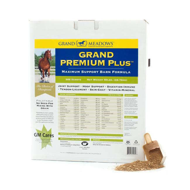 Grand Premium Plus (Grand Meadows)