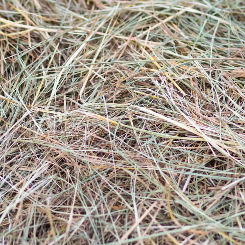 Hay – Low Quality (Ontario Average)