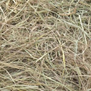 Hay – Mid Quality (AB AVG)
