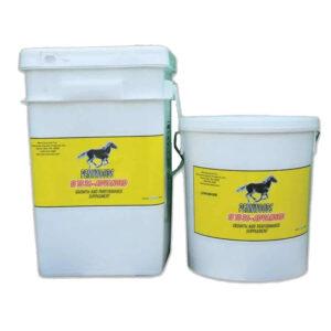 Pennwoods 13 to 36 Advanced (Pennwoods Equine)