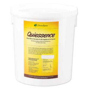 Quiessence (Foxden Equine)