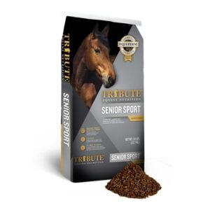 Senior Sport (Tribute)