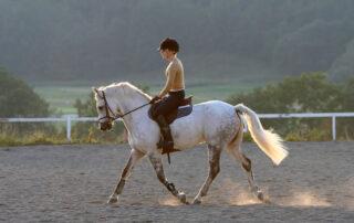 Squamous vs Glandular Ulcers in Horses