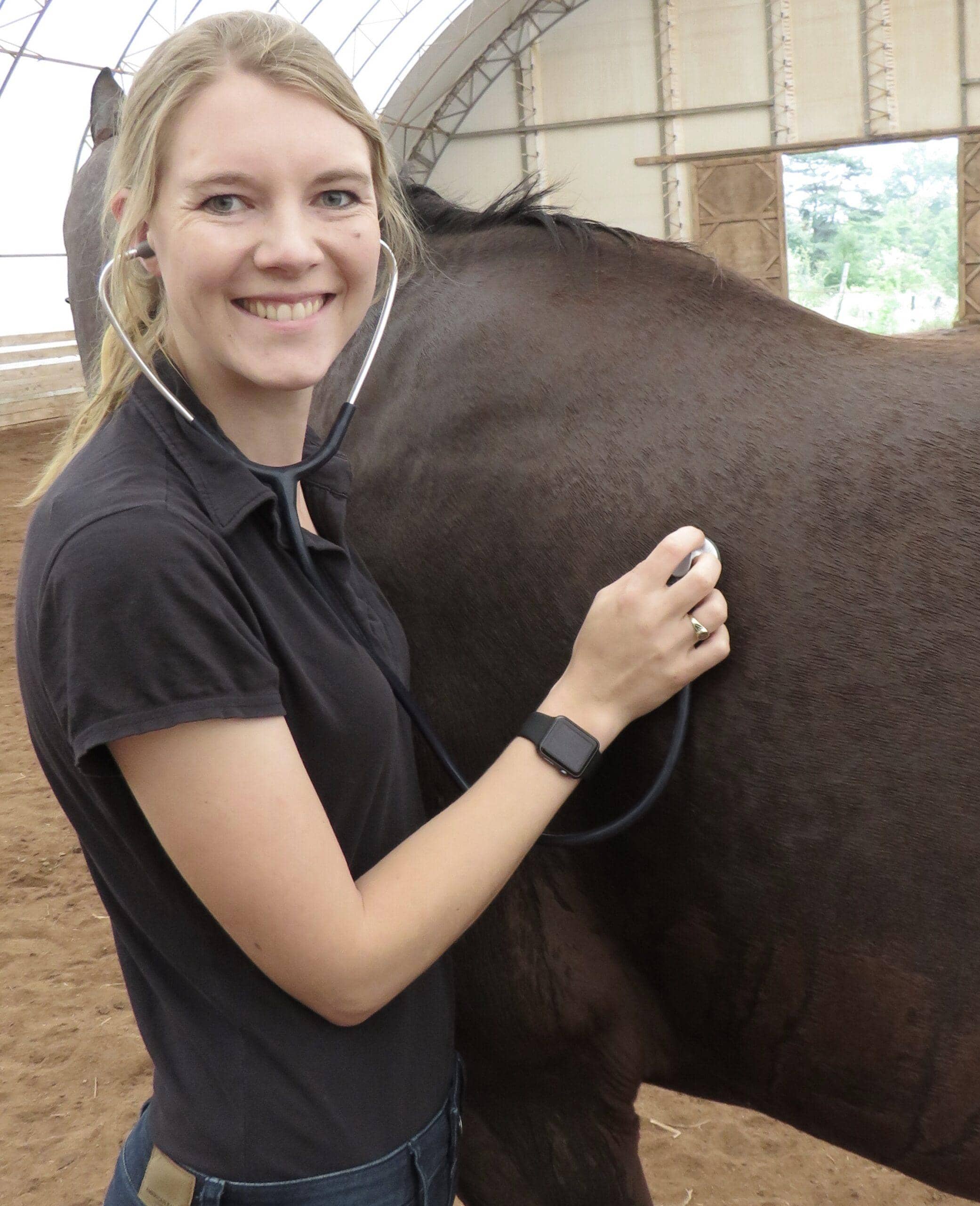 Damita Hansen, DVM - Equine Veterinarian
