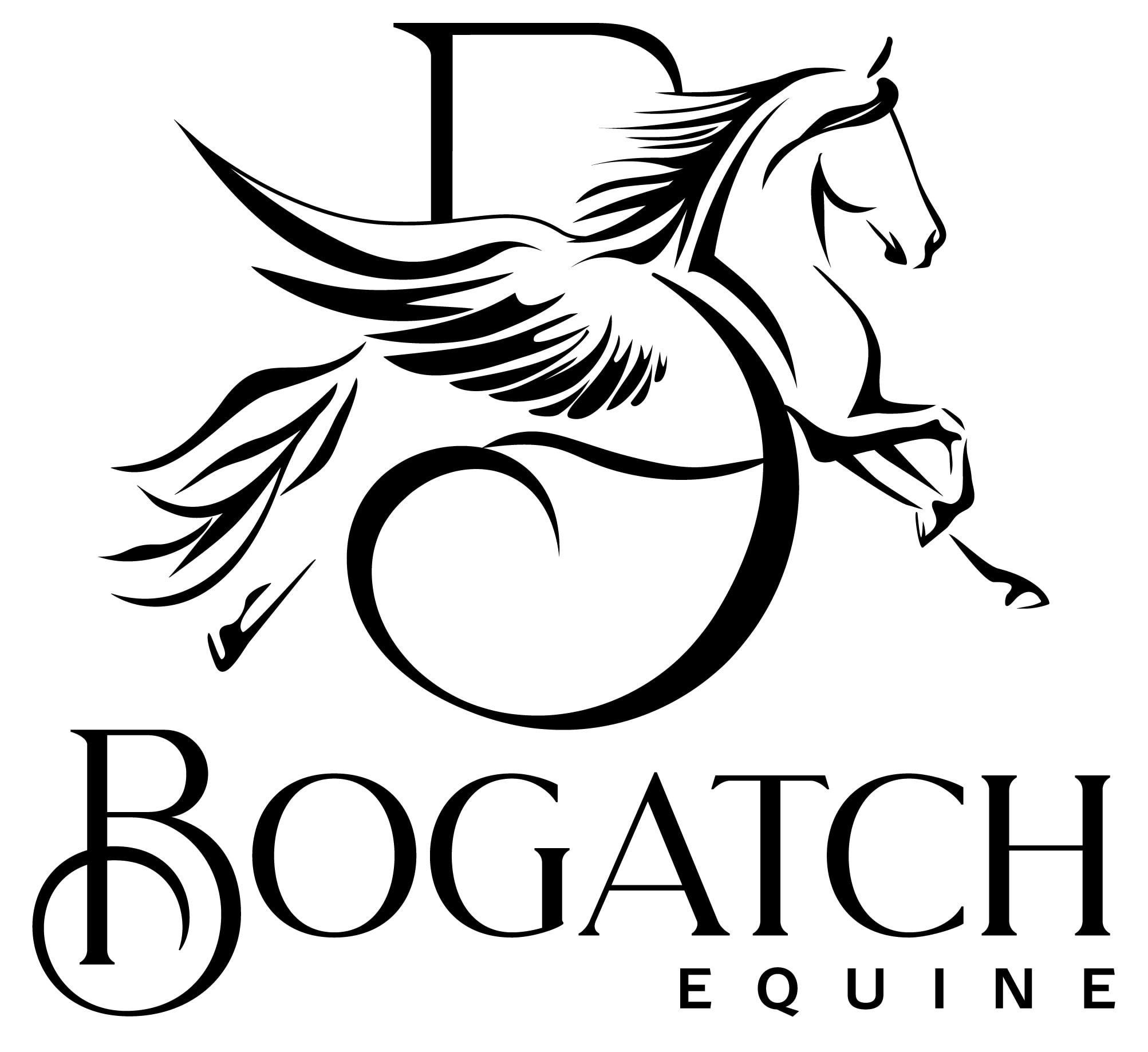 Keith E. Bogatch, DVM - Equine Veterinarian