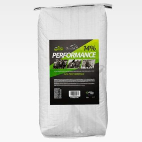 14% Performance (Running Horse)