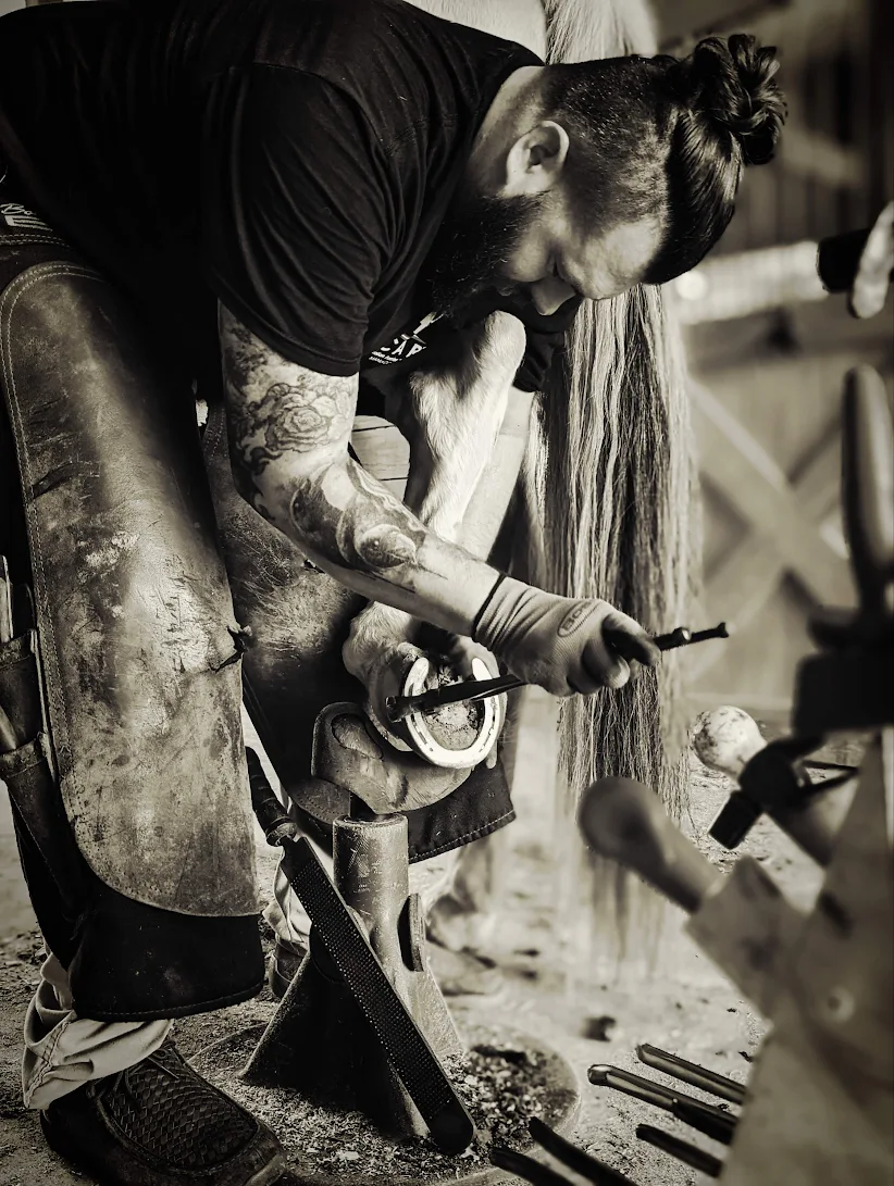 Shaun Waddell - Farrier