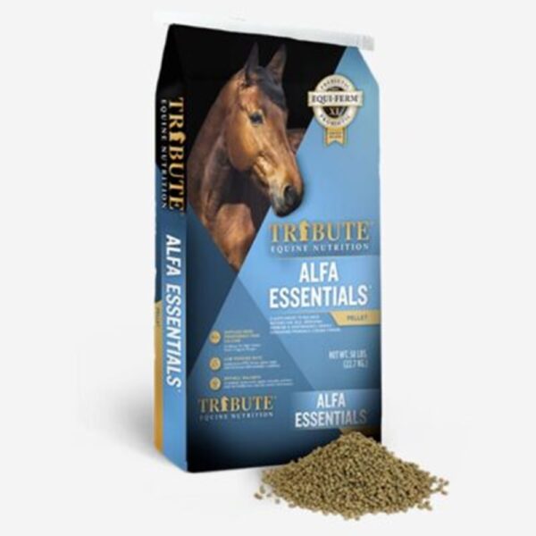 Alfa Essentials (Tribute)