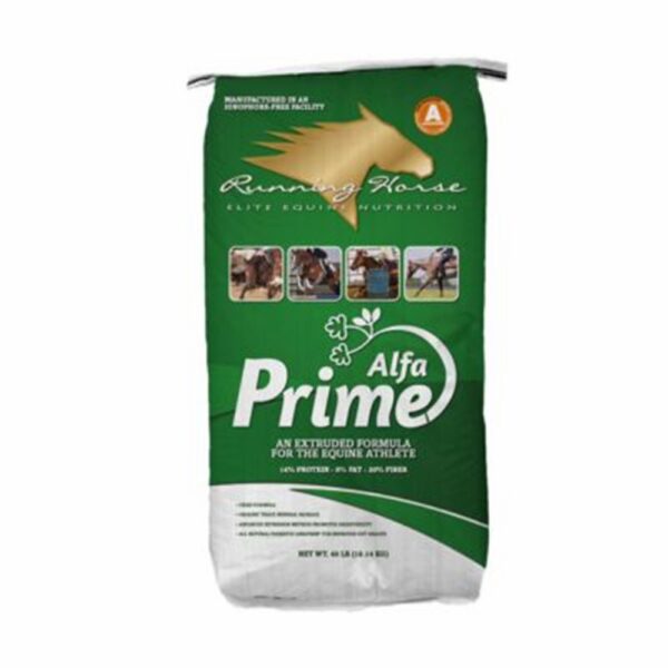 Alfa Prime (Running Horse)