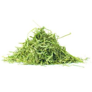Alfalfa Green Chopped 25% CP 32% NDF 15% LNDF