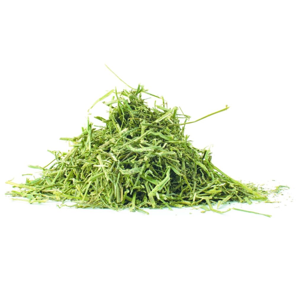 Alfalfa Greenchop 17% CP 43% NDF 20% LNDF