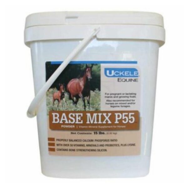 Base Mix P55 (Uckele)