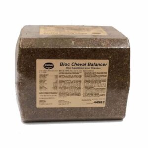 Bloc Cheval Balancer (Shur-Gain)