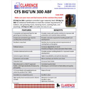 CFS Big’Un 300 (Clarence Farm Services)