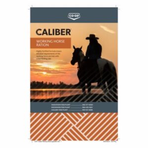 Caliber Working Horse Ration (CO-OP)