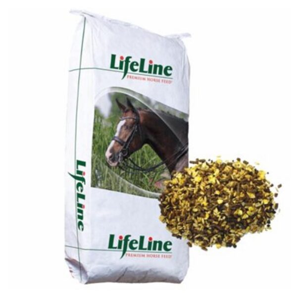 Cool Fusion (Lifeline)