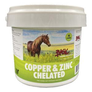 Copper and Zinc (Basic Equine Nutrition)