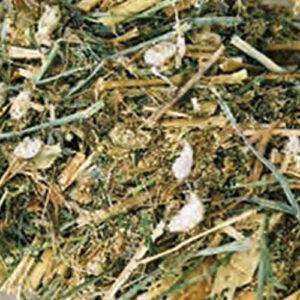 Cottonseed Whole Brazil With Hay