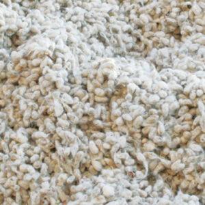 Cottonseed Whole Brazil Without Hay