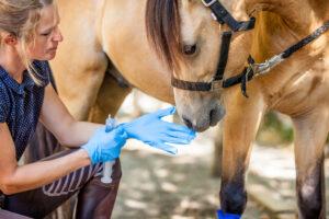 De-Worming Your Horse: Best Schedule & Medications to Use
