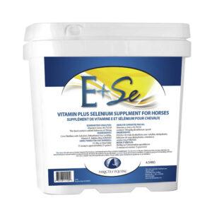 E & Se (Strictly Equine)