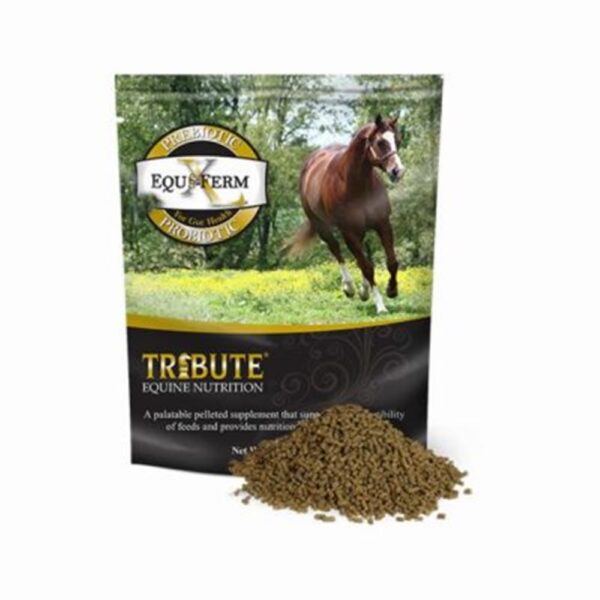Equi-Ferm XL (Tribute)