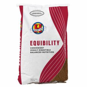 Equibility (Hallway)