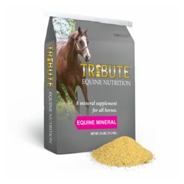 Equine 12-8 Mineral (Tribute)