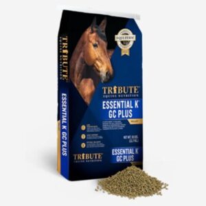 Essential K GC Plus (Tribute)