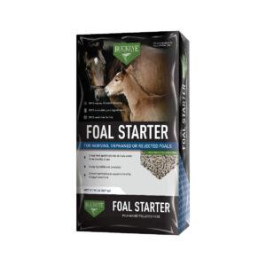 Foal Starter (Buckeye)