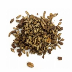 Grand Circuit (Masterfeeds)