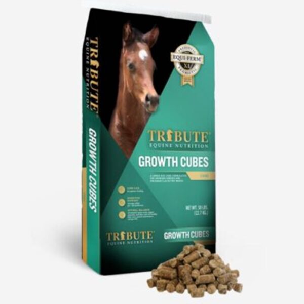 Growth Cubes (Tribute)