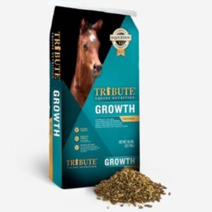 Growth Textured (Tribute)