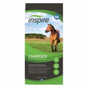 Inspire Charger (Blue Seal)