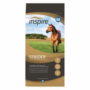 Inspire Strider (Blue Seal)