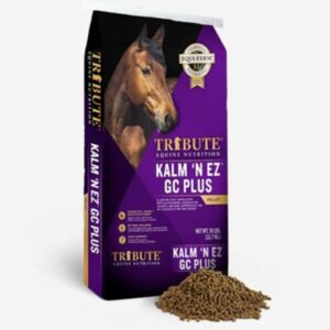 Kalm N EZ GC Plus (Tribute)