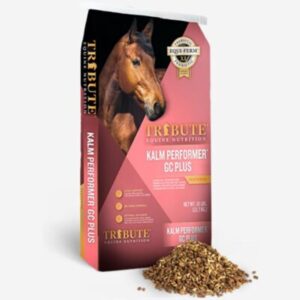 Kalm Performer GC Plus (Tribute)