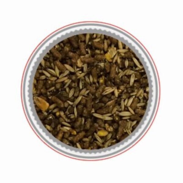 Moulee Junior (Mondou) – [Discontinued]