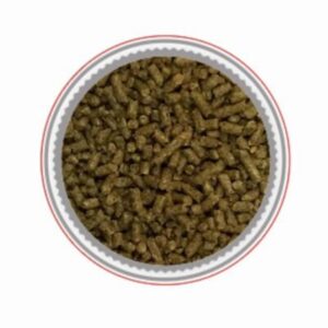 Moulee Liberte (Mondou) – [Discontinued]