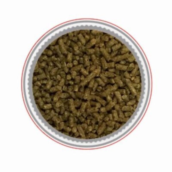 Moulee Liberte (Mondou) – [Discontinued]