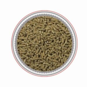 Moulee Mustang (Mondou) – [Discontinued]