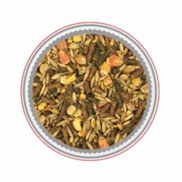 Moulee Prodige (Mondou) – [Discontinued]