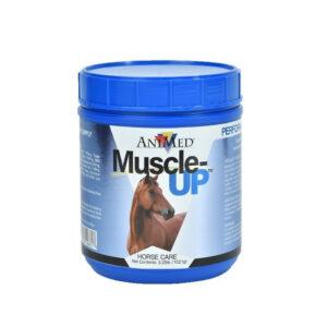 Muscle-UP (AniMed)