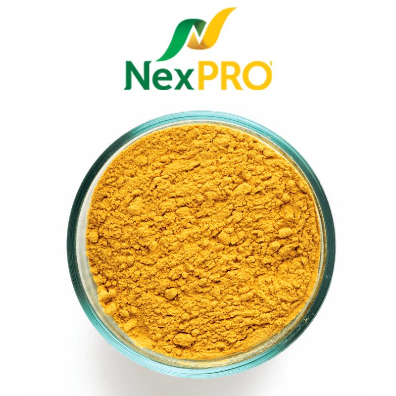 NexPro Protein Supplement (POET)