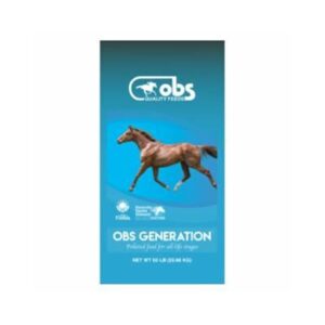 OBS Generation (Ocala Breeders’ Feed and Supply)
