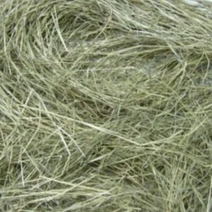 Pangola Grass Hay Florida Fine Chop