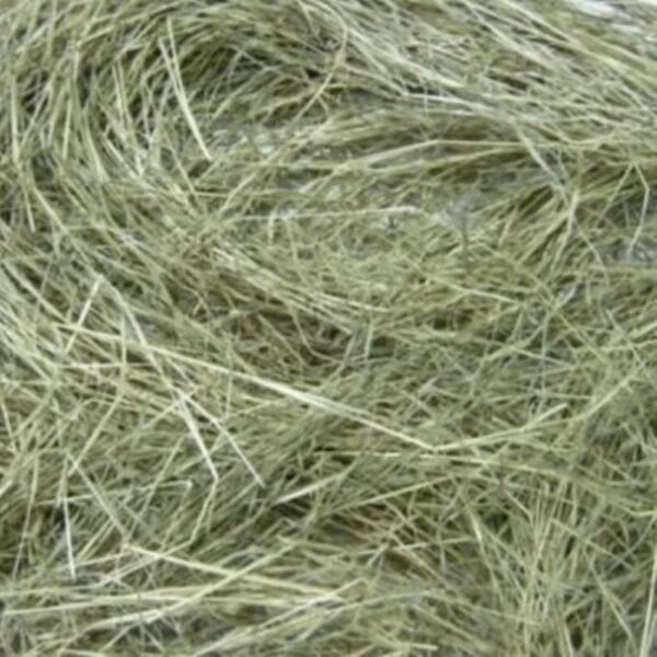 Pangola Grass Hay Florida Fine Chop