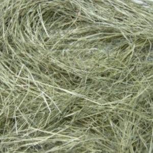 Pangola Grass Hay Honduras Fine Chop